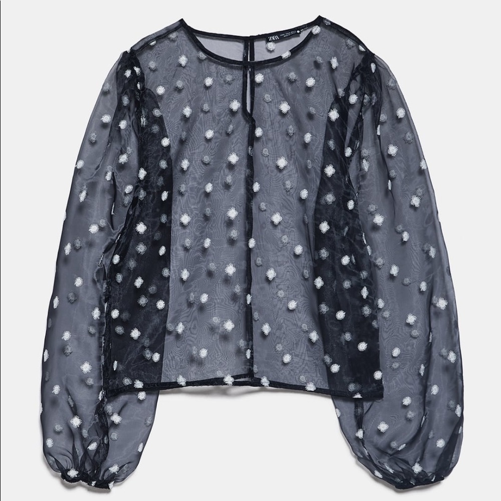 ZARA Embroidered Organza Top - Picture 7 of 7